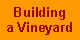 Building a vineyard!