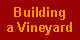 Building a Vineyard